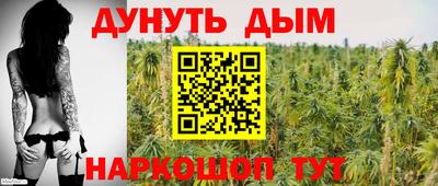 прущие грибы Лесосибирск
