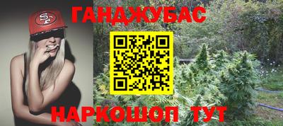 прущие грибы Лесосибирск