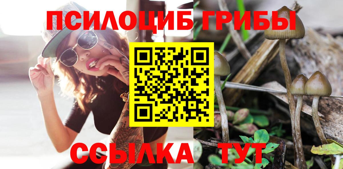 Галлюциногенные грибы ЛСД Старая Русса