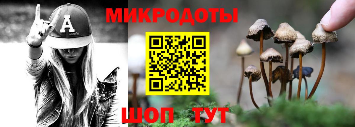 Псилоцибиновые грибы мицелий  Вход с VPN  Старая Русса  Галлюциногенные грибы GOLDEN TEACHER 